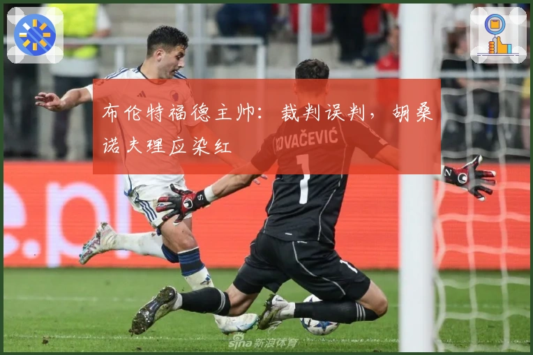 布伦特福德主帅：裁判误判，胡桑诺夫理应染红