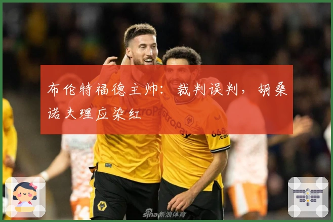 布伦特福德主帅：裁判误判，胡桑诺夫理应染红